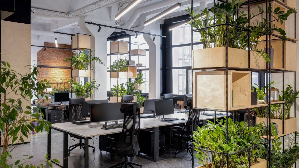 oficina con plantas