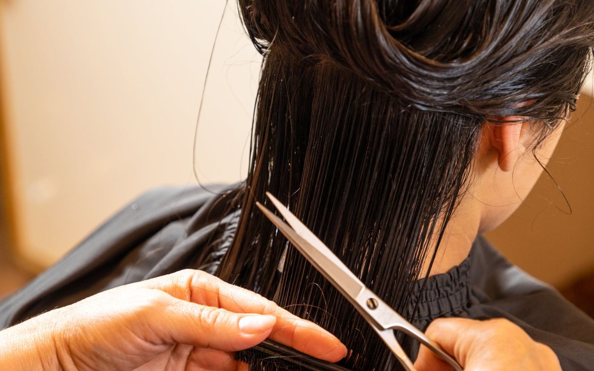 productos de peluquería online